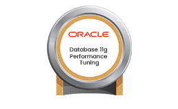 Oracle Database 11g Performance Tuning